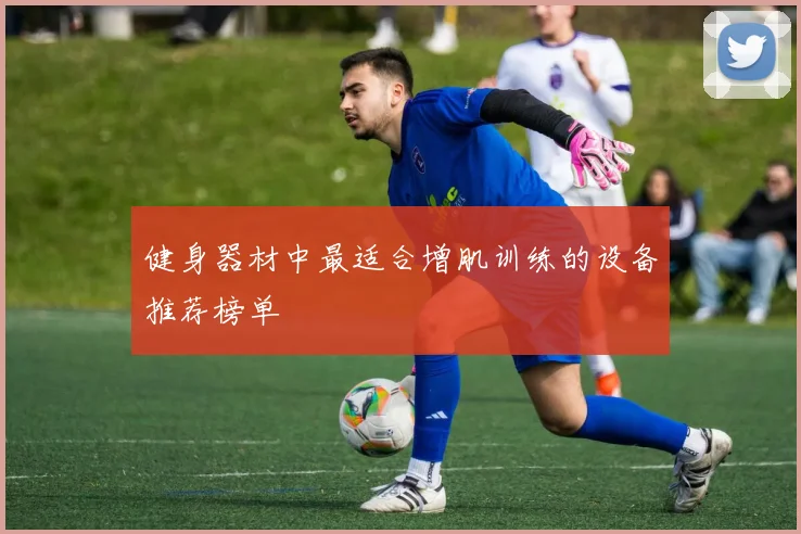 健身器材中最适合增肌训练的设备推荐榜单