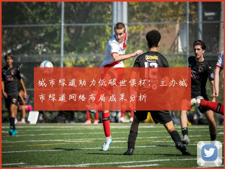 城市绿道助力低碳世俱杯：主办城市绿道网络布局成果分析