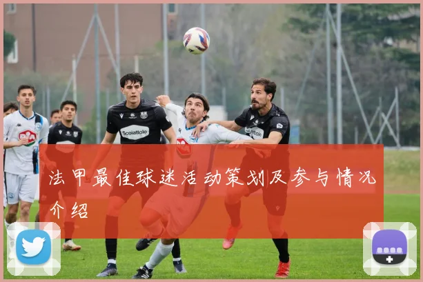 法甲最佳球迷活动策划及参与情况介绍