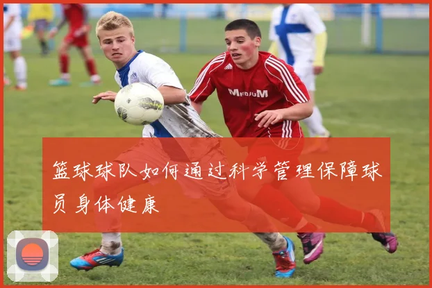 篮球球队如何通过科学管理保障球员身体健康