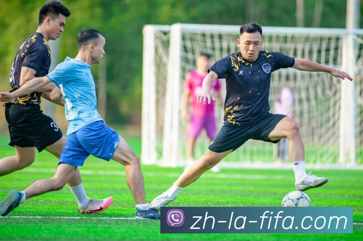 世界杯赛程平台生态图